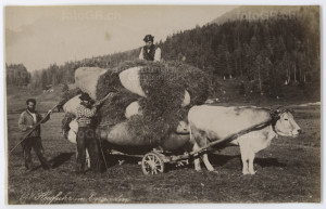 Die Fotostiftung Graubünden sucht die 1000 ältesten Bündner Fotografien